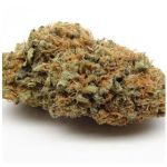 Шишки AK47 (Гидропоника, Бошка) VHQ в Северске Шишки AK47 (Гидропоника, Бошка) VHQ в Северске